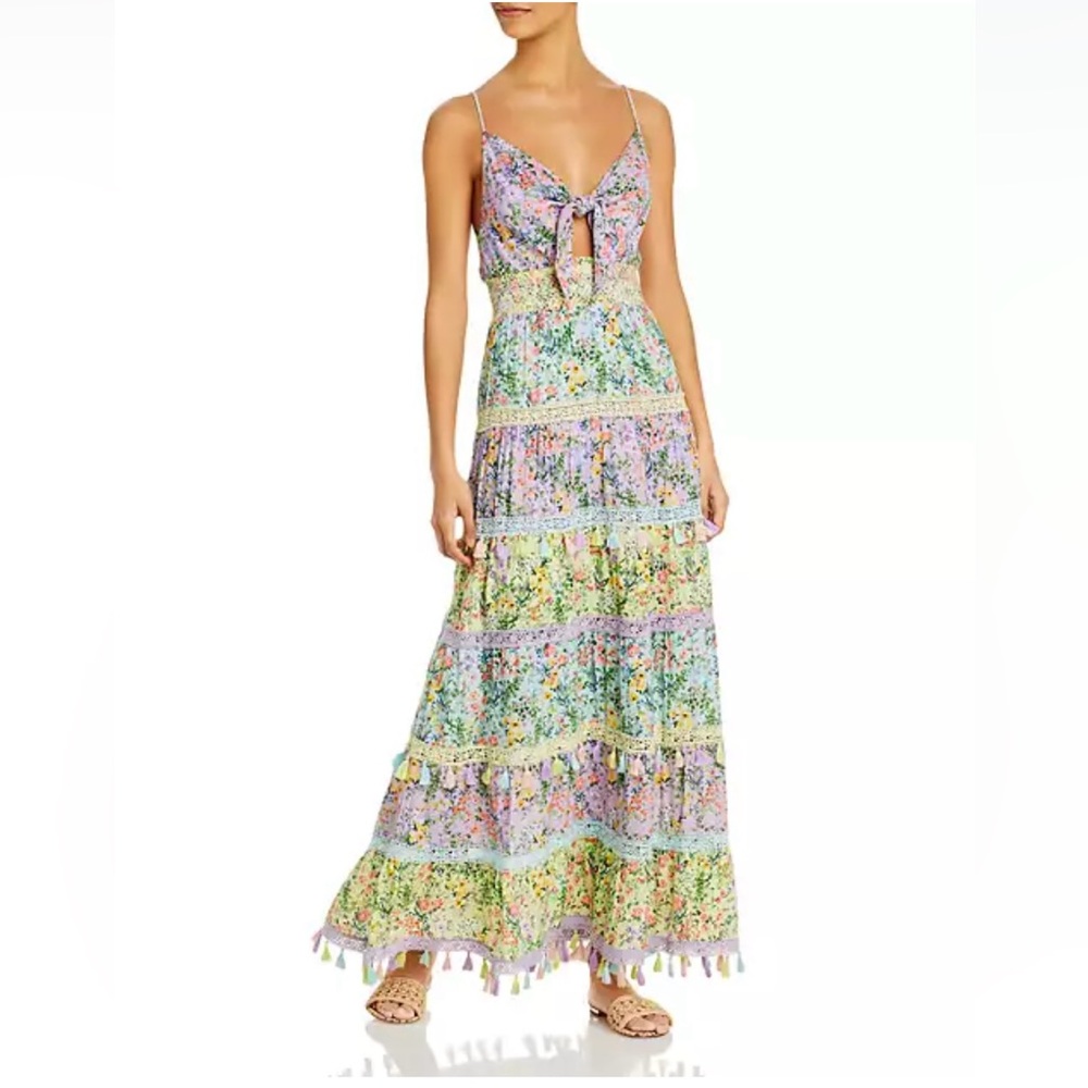 Alice and Olivia Karolina Tie Front Maxi Dress